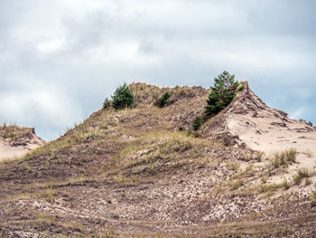 Moving dune wydma czolpinska, slowinski national park between rowy and leba, baltic sea, poland