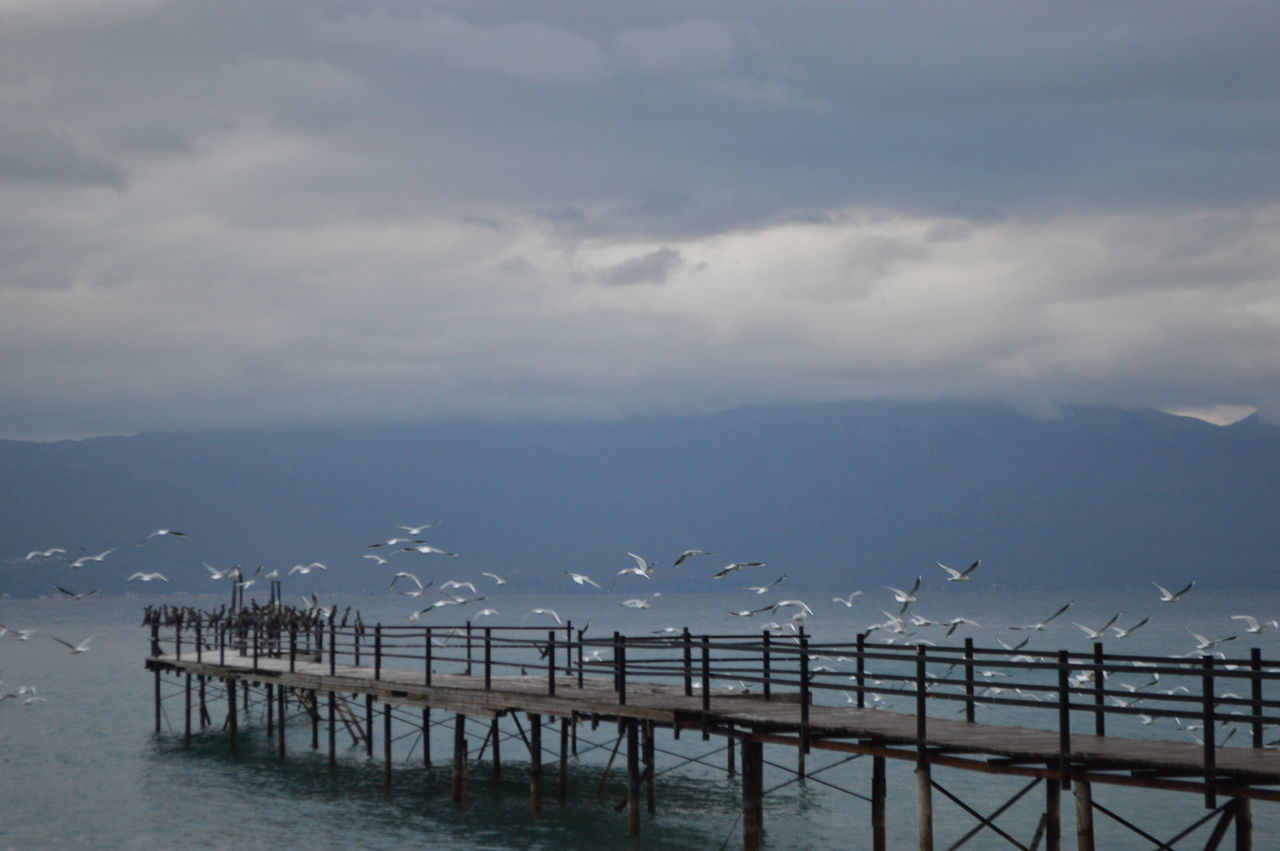 BIRD PERCHING ON RAILING BY SEA AGAINST SKY