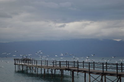 Birds perching on railing by sea against sky