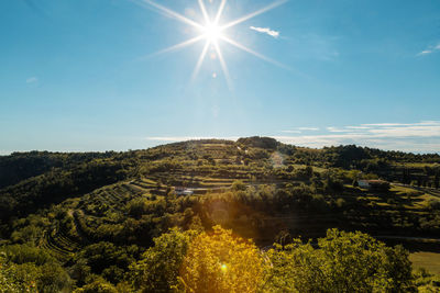 Scenic view of landscape against sky on sunny day