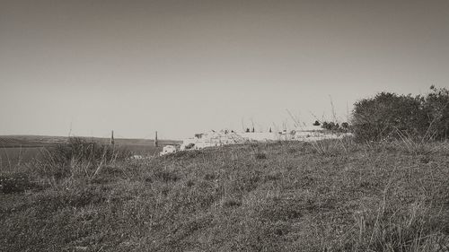 Scenic view of field against clear sky