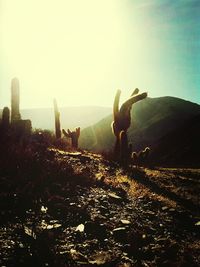 Rear view of woman standing on mountain landscape