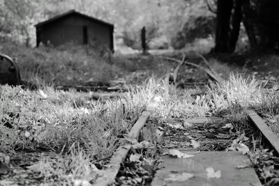 Close-up of abandoned building