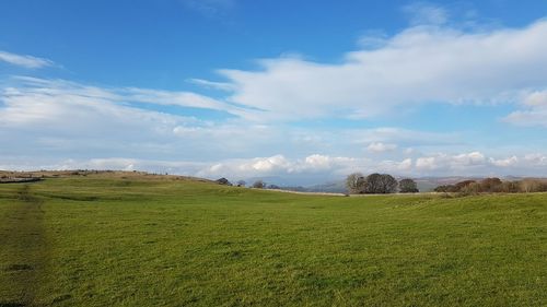 Scenic view of landscape against sky