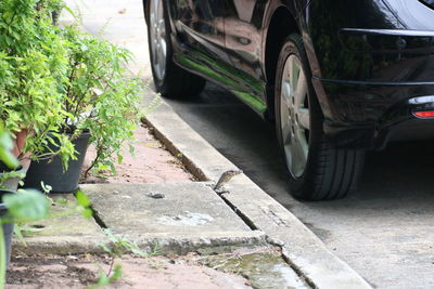 Cars on road in city