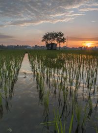 Scenic view of lake against sky during sunset