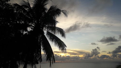 Silhouette palm trees on beach against sky during sunset