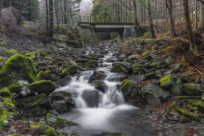 Stream flowing through rocks in forest