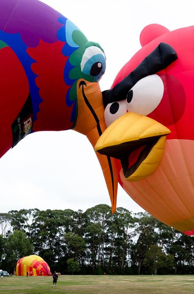 HOT AIR BALLOONS IN SKY