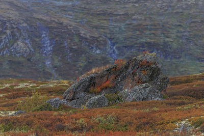 View of rocks on land