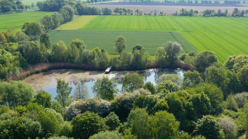 Scenic view of agricultural field