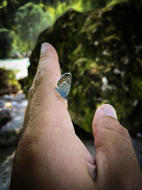 Close-up of human hand