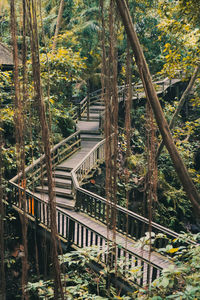 High angle view of bridge in forest