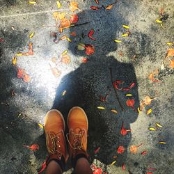 Low section of person standing on road during autumn