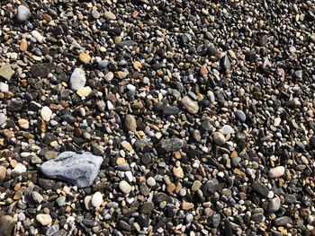 Full frame shot of pebbles on beach