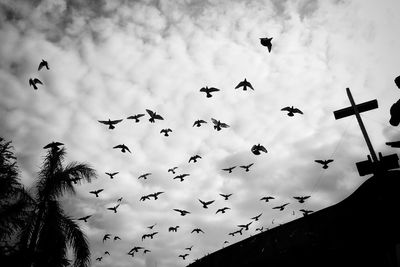 Low angle view of birds flying against clouds
