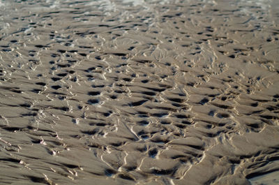 Full frame shot of sand