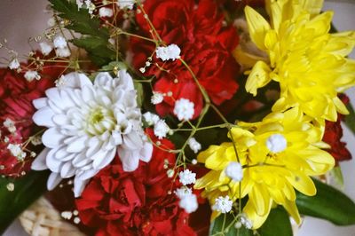 Close-up of red flowers