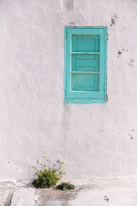 Potted plant on wall of building