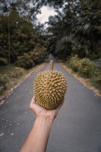Close-up of hand holding durian outdoors