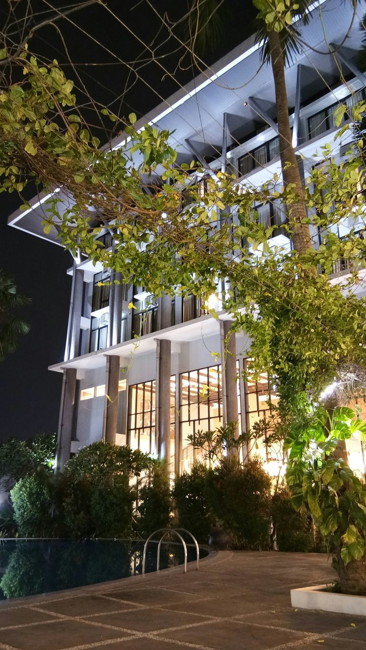 LOW ANGLE VIEW OF TREES BY STREET AGAINST BUILDINGS