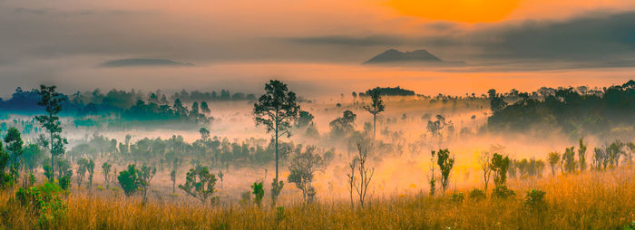 Thung salaeng luang national park of thailand, mountain view with sea of fog and forest