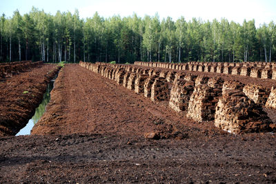 Peat is stacked in rows waiting for transport in latvia.