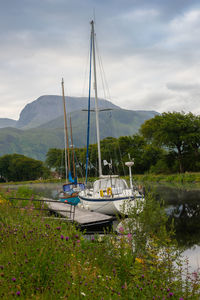 Sailboats moored on riverbank against sky