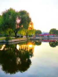 Reflection of trees in lake