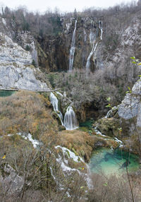 Scenic view of waterfall in forest