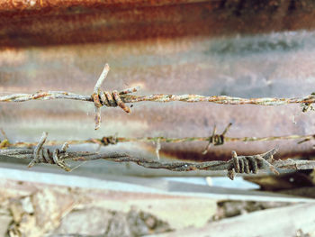 Close-up of barbed wire during winter