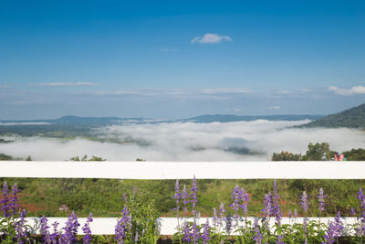 Scenic view of sea and mountains against sky