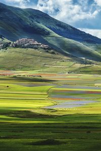 Scenic view of grassy field against sky