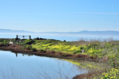 Scenic view of sea against blue sky