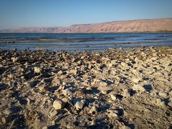 Scenic view of sea against clear sky