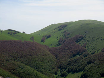 Scenic view of landscape