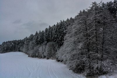 Snow covered land by trees against sky