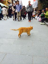 Woman walking in city