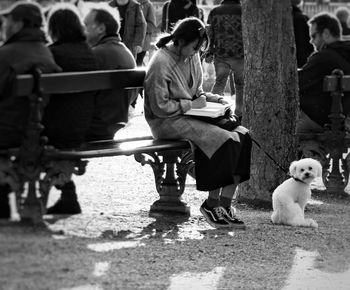 Dogs sitting outdoors