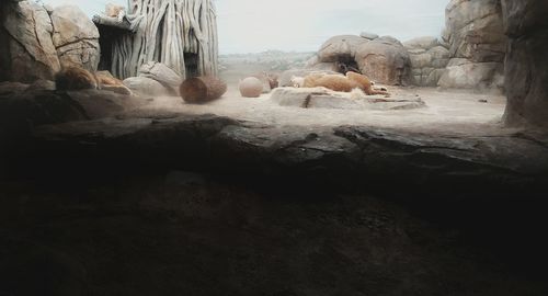 Rock formations in cave