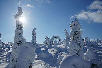 Low angle view of snow covered trees against sky