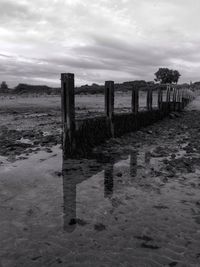 Wooden posts on beach against sky