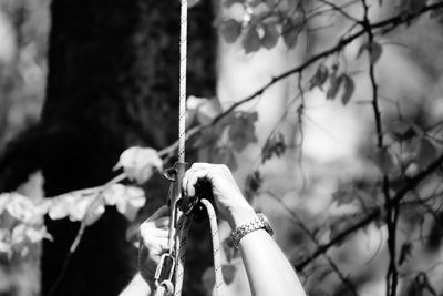 Cropped hands holding rope in forest