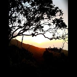 Scenic view of landscape against sky during sunset