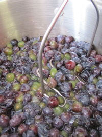 Close-up of food in bowl