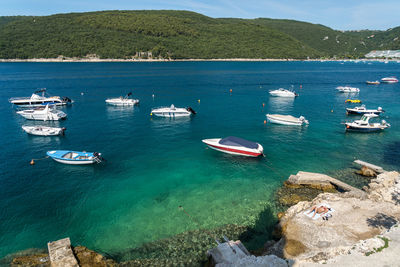 High angle view of sailboats in sea