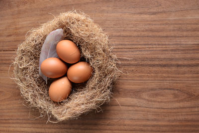 High angle view of eggs in nest on table