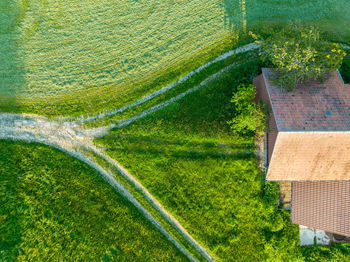 High angle view of agricultural field