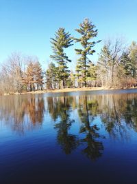 Reflection of trees in lake against clear blue sky