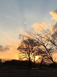 Silhouette trees against dramatic sky during sunset